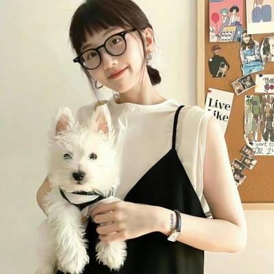 小微风的愿望海报