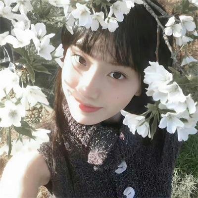 星尘芭蕾舞厅皇后海报